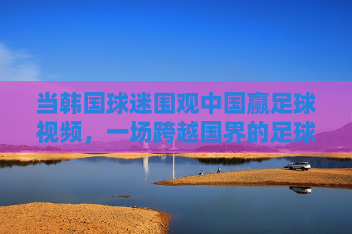 当韩国球迷围观中国赢足球视频，一场跨越国界的足球情感共鸣，韩国球迷围观中国足球胜利，一场跨越国界的情感共鸣