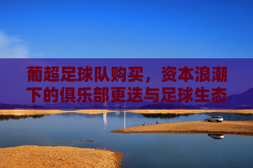 葡超足球队购买，资本浪潮下的俱乐部更迭与足球生态重构，葡超足球队购买，资本浪潮下的俱乐部更迭与足球生态重构