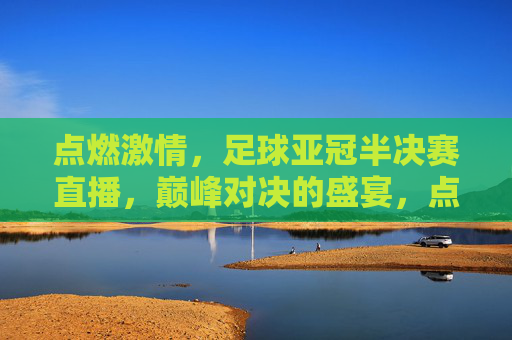 点燃激情,足球亚冠半决赛直播,巅峰对决的盛宴,点燃激情,足球亚冠半决赛直播,巅峰对决的盛宴