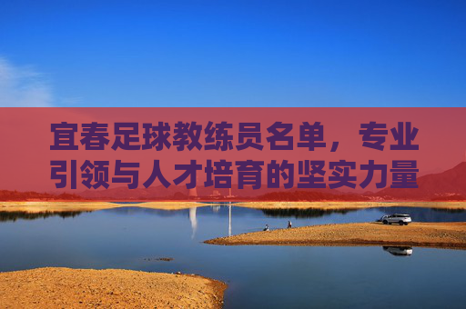 宜春足球教练员名单，专业引领与人才培育的坚实力量，宜春足球教练员名单，专业引领与人才培育的坚实力量