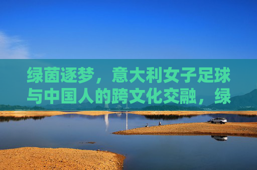 绿茵逐梦，意大利女子足球与中国人的跨文化交融，绿茵逐梦，意大利女子足球与中国人的跨文化交融