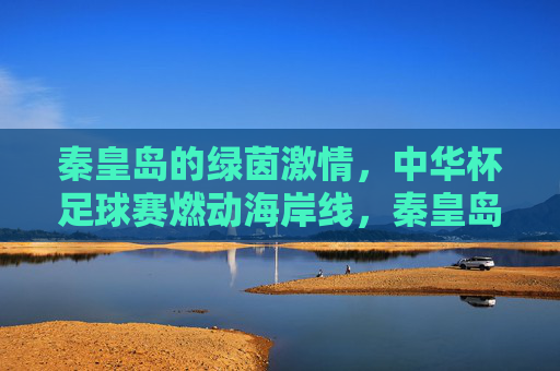 秦皇岛的绿茵激情，中华杯足球赛燃动海岸线，秦皇岛的绿茵激情，中华杯足球赛燃动海岸线