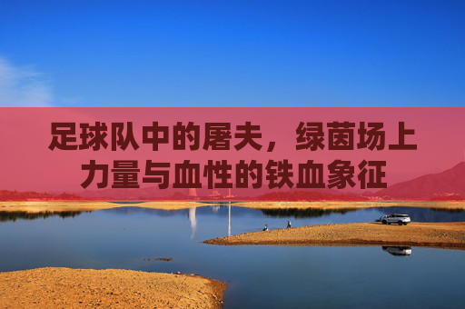 足球队中的屠夫,绿茵场上力量与血性的铁血象征