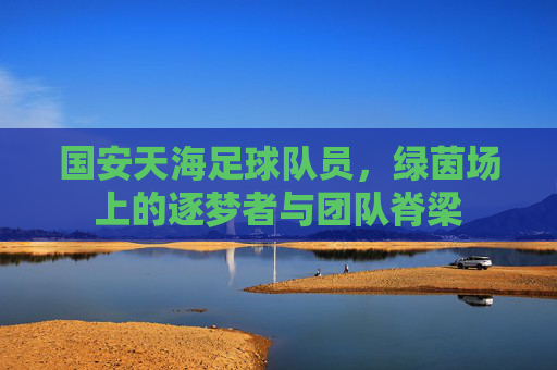 国安天海足球队员,绿茵场上的逐梦者与团队脊梁