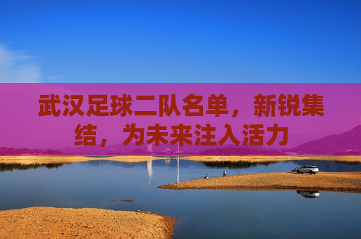 武汉足球二队名单，新锐集结，为未来注入活力