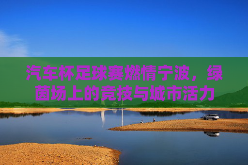 汽车杯足球赛燃情宁波,绿茵场上的竞技与城市活力