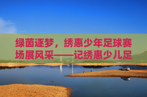 绿茵逐梦，绣惠少年足球赛场展风采——记绣惠少儿足球比赛盛况