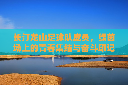 长汀龙山足球队成员,绿茵场上的青春集结与奋斗印记