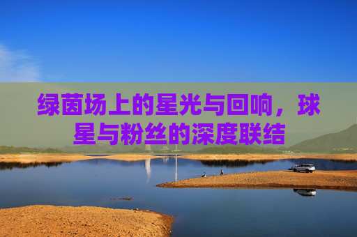 绿茵场上的星光与回响,球星与粉丝的深度联结