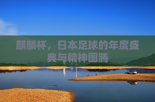 麒麟杯,日本足球的年度盛典与精神图腾