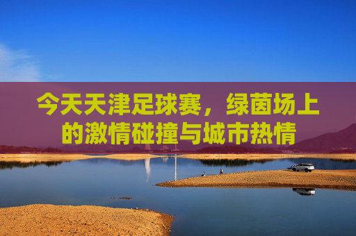 今天天津足球赛,绿茵场上的激情碰撞与城市热情