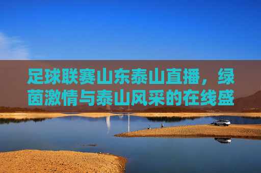 足球联赛山东泰山直播，绿茵激情与泰山风采的在线盛宴