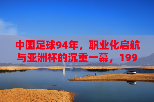 中国足球94年，职业化启航与亚洲杯的沉重一幕，1994中国足球，职业化启航与亚洲杯的沉重一幕