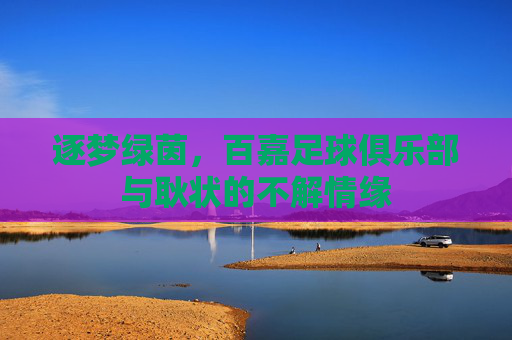 逐梦绿茵，百嘉足球俱乐部与耿状的不解情缘
