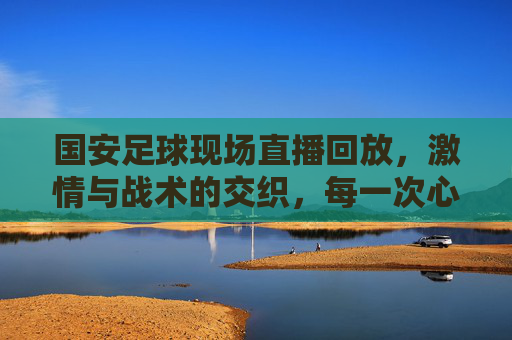 国安足球现场直播回放，激情与战术的交织，每一次心跳都在画面中定格
