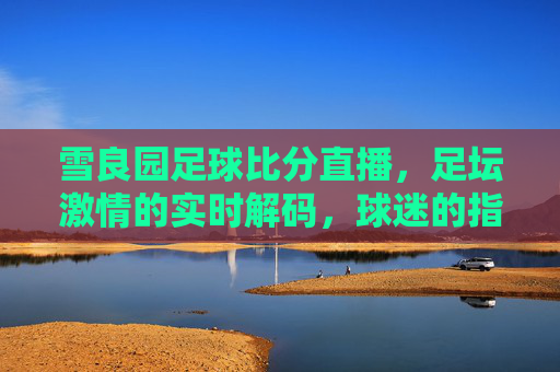 雪良园足球比分直播,足坛激情的实时解码,球迷的指尖盛宴