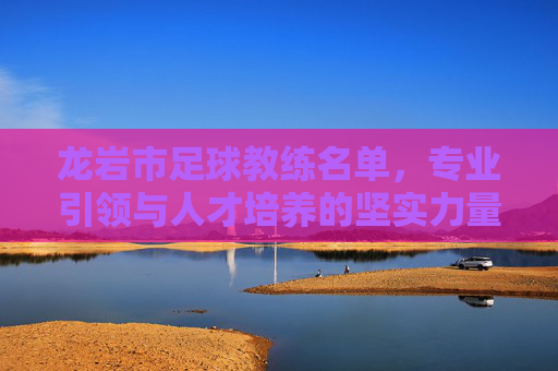 龙岩市足球教练名单,专业引领与人才培养的坚实力量——探析龙岩市足球教练队伍现状与作用