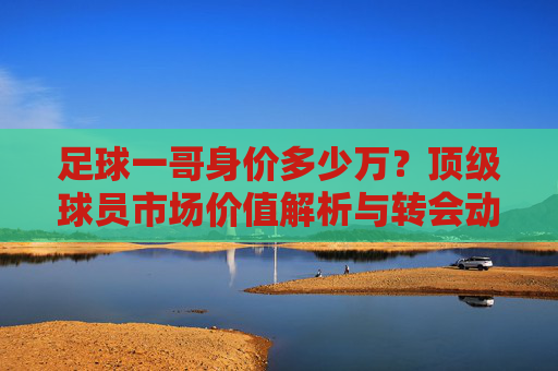 足球一哥身价多少万？顶级球员市场价值解析与转会动态