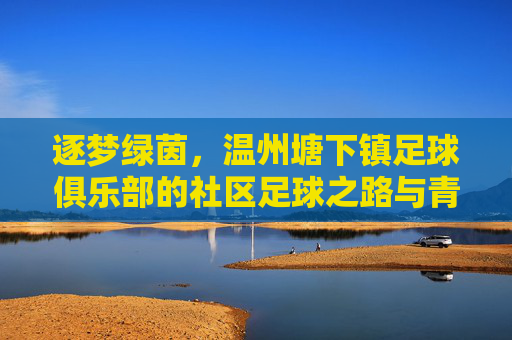 逐梦绿茵，温州塘下镇足球俱乐部的社区足球之路与青春绽放