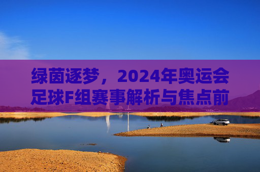 绿茵逐梦，2024年奥运会足球F组赛事解析与焦点前瞻