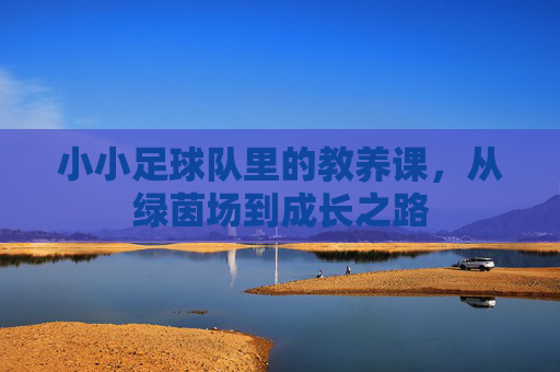 小小足球队里的教养课,从绿茵场到成长之路