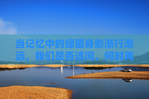 当记忆中的绿茵身影渐行渐远，我们是否该问，何时再有江苏足球队？