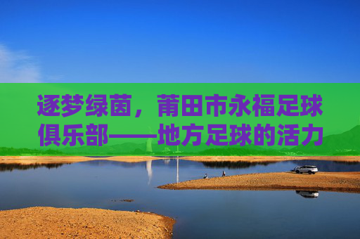 逐梦绿茵,莆田市永福足球俱乐部——地方足球的活力源泉与希望之光