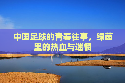 中国足球的青春往事，绿茵里的热血与迷惘
