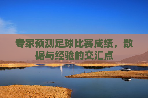 专家预测足球比赛成绩,数据与经验的交汇点