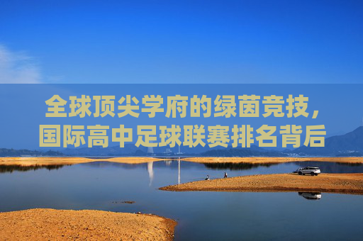 全球顶尖学府的绿茵竞技,国际高中足球联赛排名背后的教育与文化交融