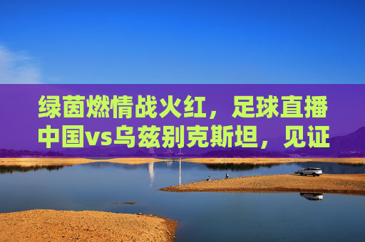 绿茵燃情战火红，足球直播中国vs乌兹别克斯坦，见证中国男足的拼搏与希望，绿茵燃情战火红，足球直播中国vs乌兹别克斯坦，见证中国男足的拼搏与希望