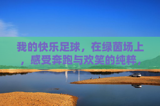 我的快乐足球，在绿茵场上，感受奔跑与欢笑的纯粹，绿茵场上的纯粹快乐，我的足球奔跑与欢笑