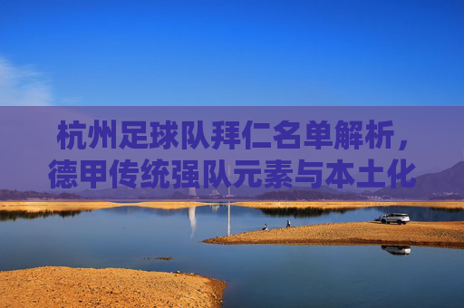 杭州足球队拜仁名单解析，德甲传统强队元素与本土化战略的融合——解析俱乐部引入德甲元素背后的战术与市场逻辑