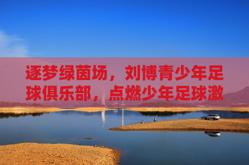 逐梦绿茵场，刘博青少年足球俱乐部，点燃少年足球激情，铸就未来足球之星