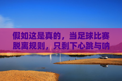 假如这是真的，当足球比赛脱离规则，只剩下心跳与呐喊