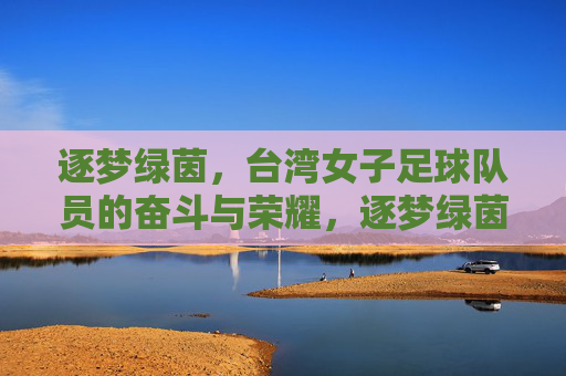 逐梦绿茵,台湾女子足球队员的奋斗与荣耀,逐梦绿茵,台湾女子足球队员的奋斗与荣耀