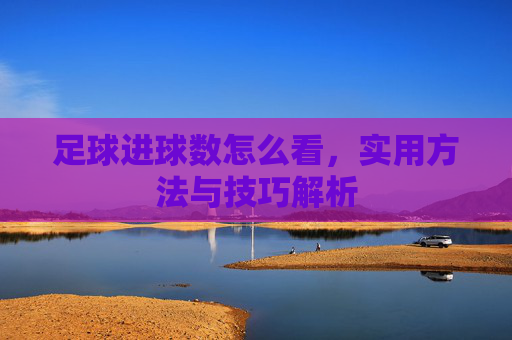 足球进球数怎么看，实用方法与技巧解析