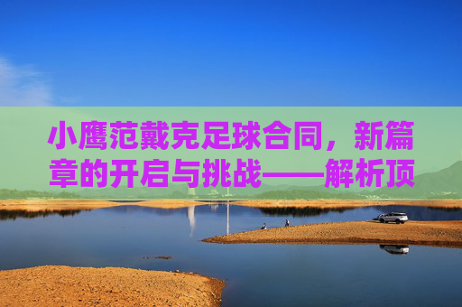 小鹰范戴克足球合同，新篇章的开启与挑战——解析顶级后卫的续约与未来规划