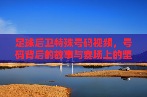 足球后卫特殊号码视频,号码背后的故事与赛场上的坚守