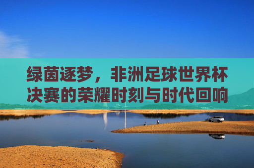 绿茵逐梦，非洲足球世界杯决赛的荣耀时刻与时代回响