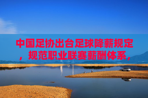 中国足协出台足球降薪规定，规范职业联赛薪酬体系，推动中国足球职业化转型