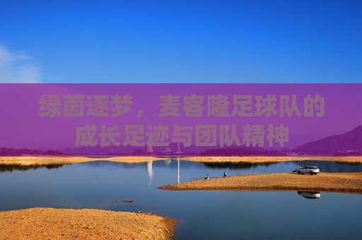 绿茵逐梦，麦客隆足球队的成长足迹与团队精神