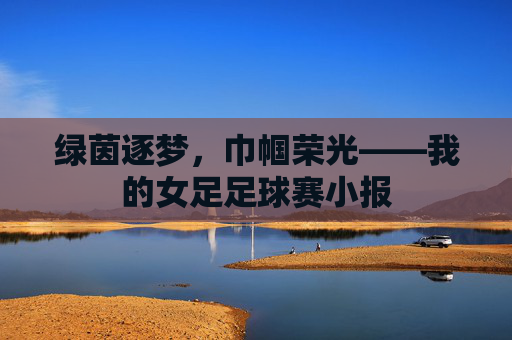 绿茵逐梦，巾帼荣光——我的女足足球赛小报