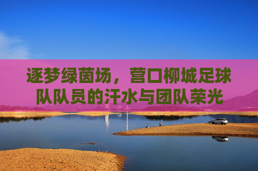 逐梦绿茵场，营口柳城足球队队员的汗水与团队荣光