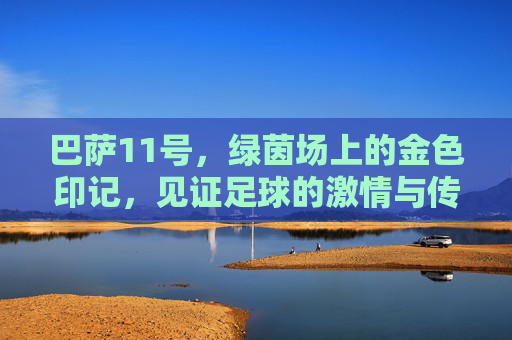 巴萨11号,绿茵场上的金色印记,见证足球的激情与传奇,巴萨11号,绿茵场上的金色印记,见证足球的激情与传奇