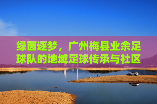 绿茵逐梦，广州梅县业余足球队的地域足球传承与社区活力