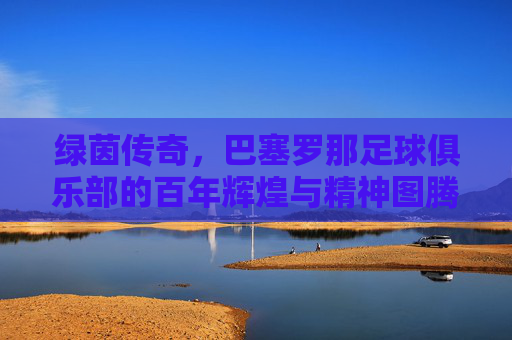 绿茵传奇，巴塞罗那足球俱乐部的百年辉煌与精神图腾