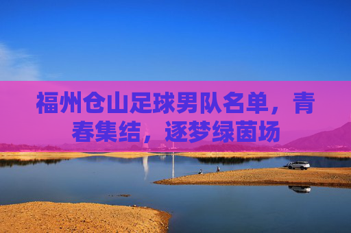 福州仓山足球男队名单,青春集结,逐梦绿茵场