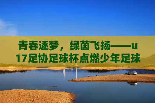 青春逐梦，绿茵飞扬——u17足协足球杯点燃少年足球热情