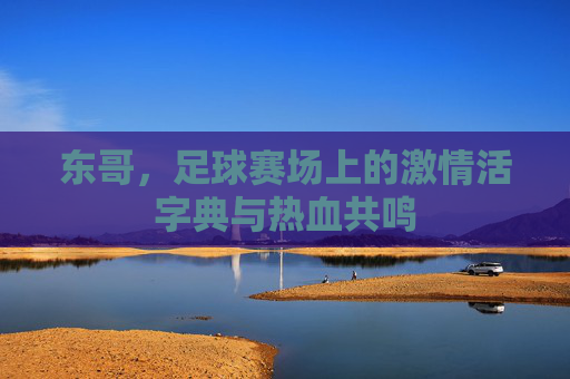 东哥，足球赛场上的激情活字典与热血共鸣